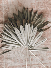 Load image into Gallery viewer, Dried palm leaves (set of three)
