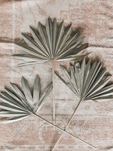 Load image into Gallery viewer, Dried palm leaves (set of three)
